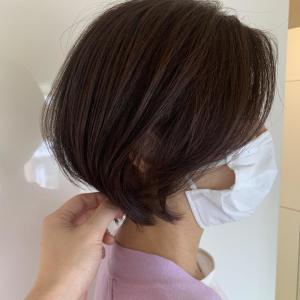 上品ボブ - marju銀座掲載