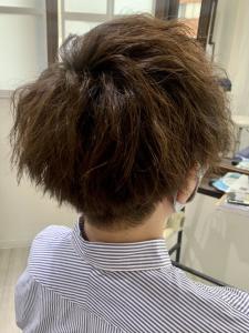 ツイスト - ISOLA-blu 黒川店掲載