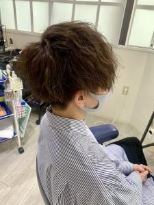 ツイスト - ISOLA-blu 黒川店掲載