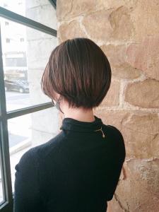 【151e_戸塚】*スリークショート+ココアベージュ* - 151e_戸塚掲載