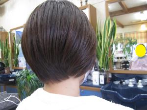 グラデーションボブ - ヘアサロン カワカミ掲載