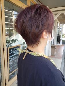 スッキリショート - 半個室型美容室 Sourire 伊都店掲載