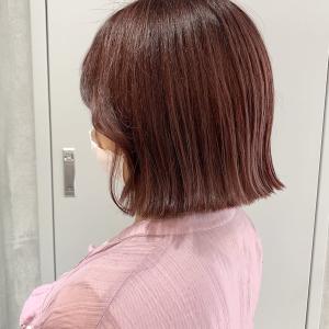 【 YOKE 】 ラベンダーピンクブラウンブリーチオンカラー - YOKE掲載