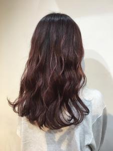 【YOKE】ワインレッドブラウンモーブカラーヨシンモリ - YOKE掲載