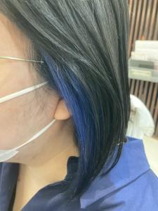 ロイヤルブルー×インナーカラー - atelier visse掲載