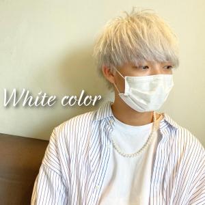 ホワイトショートウルフ - L.DORADO エルドラード掲載