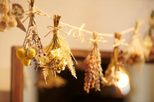 さんかく美容室 サンカクビヨウシツ 杉並区 美容室 Sakuria サクリア