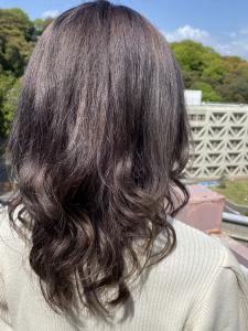 シルバーグレージュ - Viage掲載