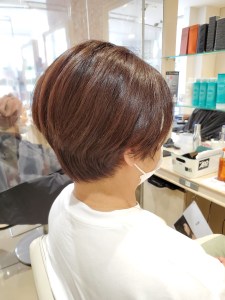 レザーショート - Ash 日吉店掲載