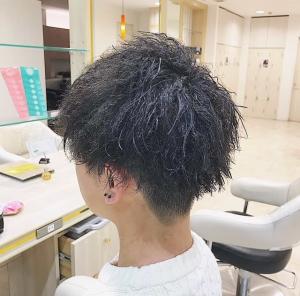 ツイストマッシュ - Ash 仙川店掲載