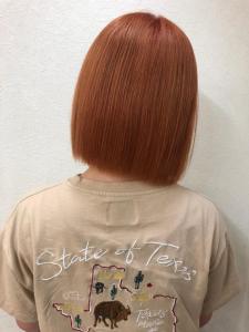 ブラッドオレンジカラー - alpina 菅谷店掲載