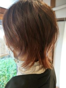 夏のくびれウルフ始めました。メッシュカラーを添えて - ヒトトケ掲載