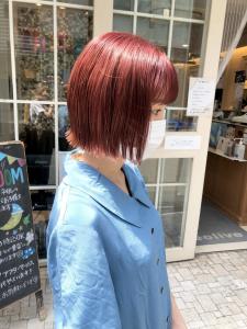 今季大人気　ピンクオレンジ　暖色【横浜ボブ】 - Neolive aim 横浜店掲載