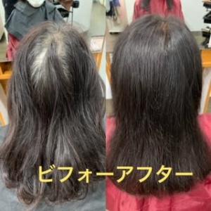 ノンジアミン白髪染め（白髪染めエステ） - 髪美人美容室掲載
