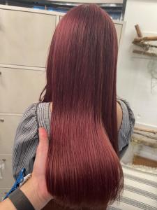 上品ワインレッドカラー - ACT 表参道店掲載