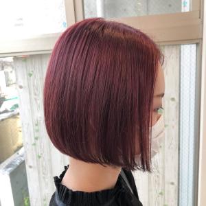 ワインレッド・ボブ - ACT 表参道店掲載