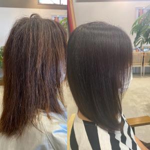 魔法のオイルストレート - DAM hair garden掲載
