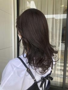 うる艶ラベンダー - トリートヘアデザイン市川店掲載