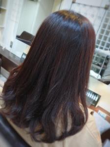 秋色×美髪イルミナ - Stilla smooth掲載