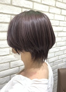 ラベンダーピンク　Ash十日市場店 - Ash 十日市場店掲載