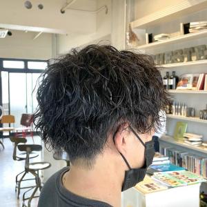  【CHESTER】メンズパーマ　ツイストスパイラル - 髪質改善 SEPT. 天神大名掲載