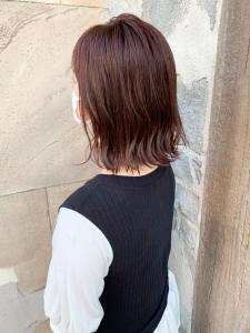 【151e_戸塚】*外ハネボブ+カフェブラウン* - 151e_戸塚掲載