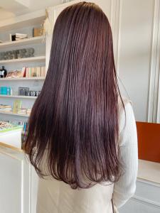 【CHESTER】ラベンダーピンク  艶カラー  - 髪質改善 SEPT. 天神大名掲載