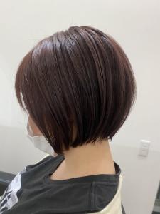 Hair Salon for D - Hair Salon for D掲載
