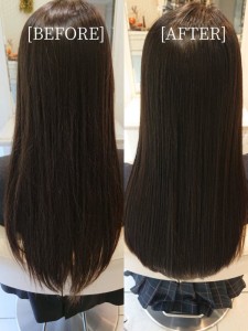 カシミヤ美髪 BEFORE&AFTER - Ash 西荻窪店掲載