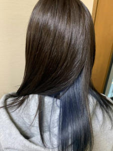 ネイビーブルー/インナーカラー/アッシュ/ダークブラウン - Carrefour掲載