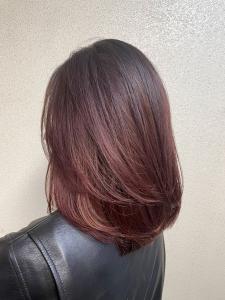 ワインレッド - Ash 西荻窪店掲載