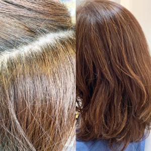 脱白髪染め　ヌーディーカラー３０代４０代50代女性にオススメ - La Sente Aja 川西掲載