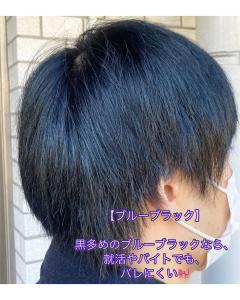 ダブルカラー【ブルーブラック】? - リラ ジュネス掲載