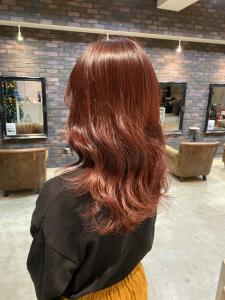 【CHESTER】ラベンダーピンク - 髪質改善 SEPT. 天神大名掲載