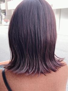 切りっぱなしボブ×パープルブラウン - Luccica hair&spa掲載