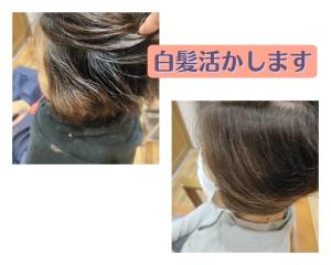 【脱白髪染め】白髪をカバーしながら☆脱白髪染め - hair studio Romeo掲載