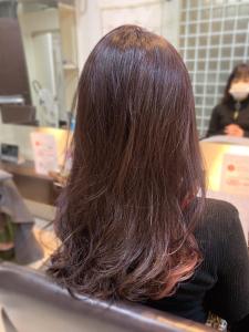 ラベンダーベージュ＋インナーカラー - Stilla smooth掲載