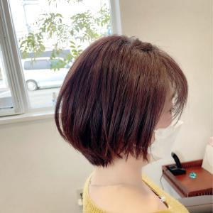 首が長くみえるクビれショート - akira仁川店掲載