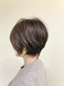 コンパクトショート - Trico by FACE。掲載