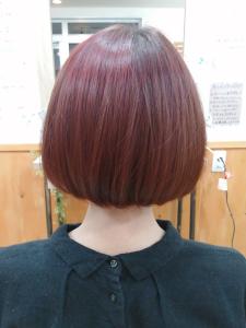 定番ボブヘアー - 猫と三日月掲載