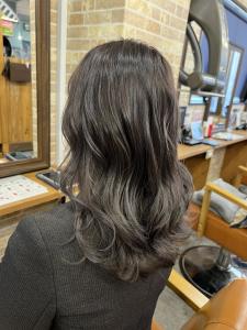 カーキグレージュ - Alushe 新宿店掲載