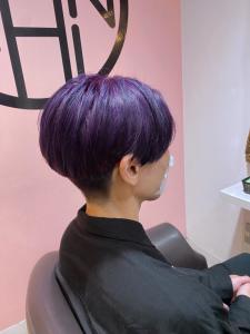 個性派パープル - Alushe 新宿店掲載
