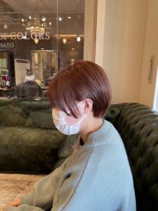 オレンジブラウン×マッシュショート - ALEXANDRE OF COLORS MORINOSATO掲載