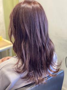 【ラベンダーピンク】【ピンク】 - ALEXANDRE OF COLORS TOYAMA掲載