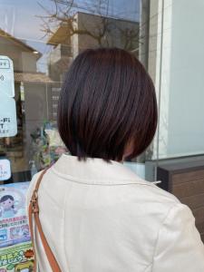 伸ばし中も艶っとカラー - EMU international 春日部本店掲載