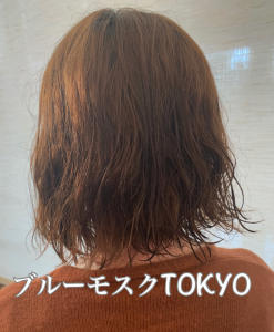 パーマ - ブルーモスクTOKYO掲載