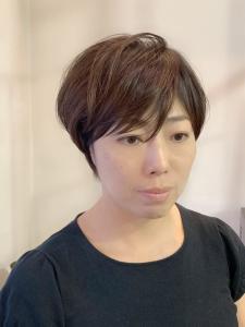 Dali 新さっぽろ店 - Dali 新さっぽろ店掲載