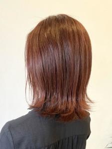 ケアブリーチ/アプリコットオレンジ  - latte掲載