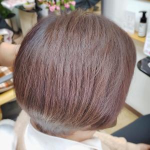 杉本幸優の　骨格整形・リノベーションカラー - K＆K美容室 苦楽園店掲載