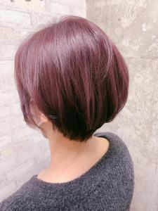バイオレットショート - schritt溝の口掲載
